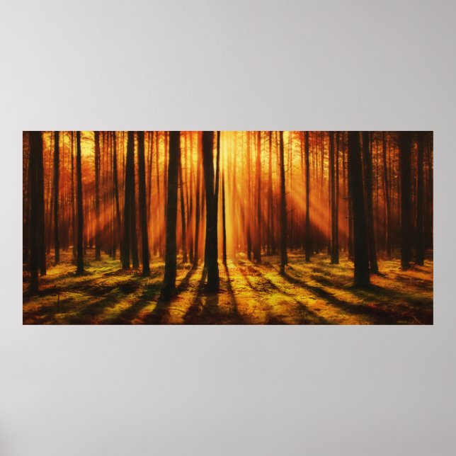 Poster Floresta Sunrise (Frente)
