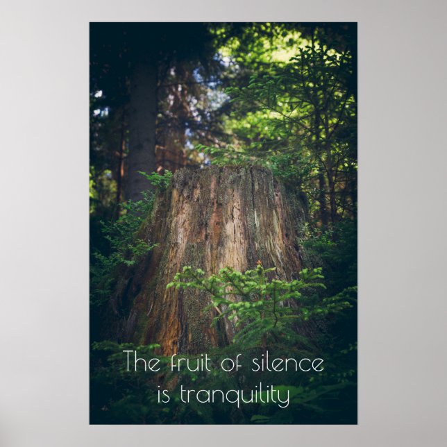 Poster Floresta tranquila de verão (Frente)