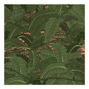 Pôster Floresta Tropical da Selva