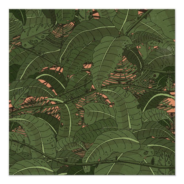 Pôster Floresta Tropical da Selva (Frente)