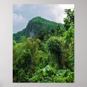 Poster Floresta tropical exuberante e pico El Yunque