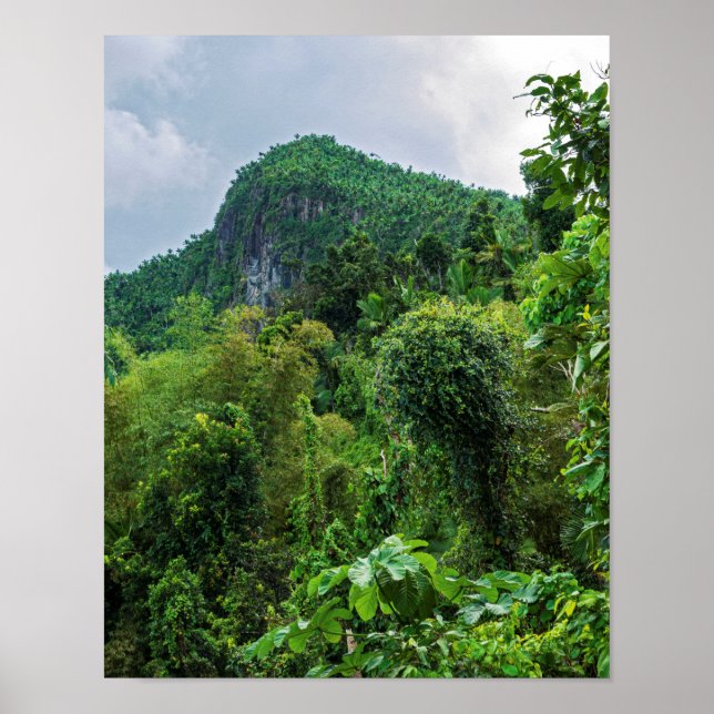Poster Floresta tropical exuberante e pico El Yunque (Frente)