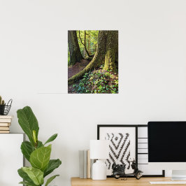 Poster Floresta Verdejante Fotografia da Natureza