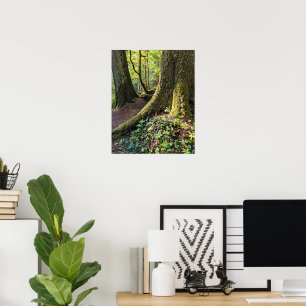 Poster Floresta Verdejante Fotografia da Natureza