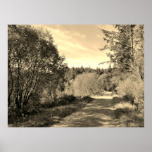 Florestas ao longo da caminhada Belo dia Poste