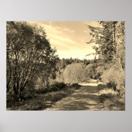Poster Florestas ao longo da caminhada Belo dia Poste