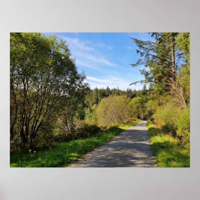 Poster Florestas ao longo de um caminho Dia maravilhoso (Frente)