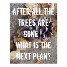 Florestas Árvores Conservação da Terra Alterações 