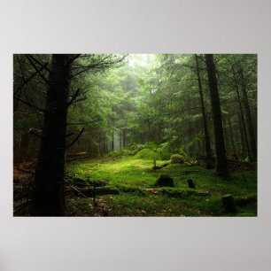 Poster Florestas Auvergne França
