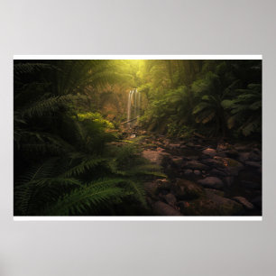 Poster Florestas Destaques da luz solar Cascata