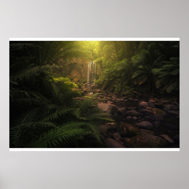 Poster Florestas | Destaques da luz solar Cascata (Frente)
