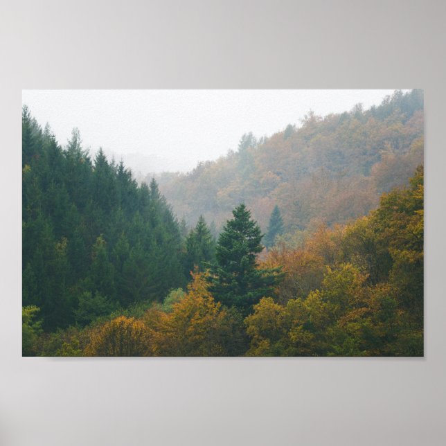 Poster Florestas do outono de 2010 que desaparecem no nev (Frente)