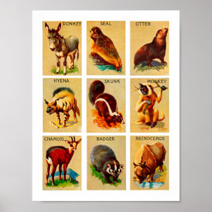 Poster Florestas e animais selvagens Natureza Arte selvag
