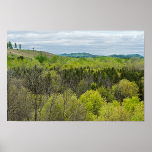 Poster Florestas e Colinas de Black River Falls em Wiscon