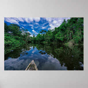Poster Florestas Floresta Selvagem Peruana