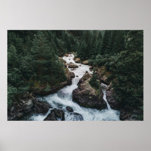 Poster Florestas Grison Graubunden Canton