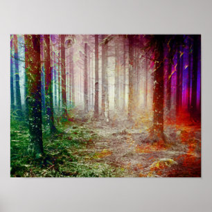 Poster Florestas Pintadas
