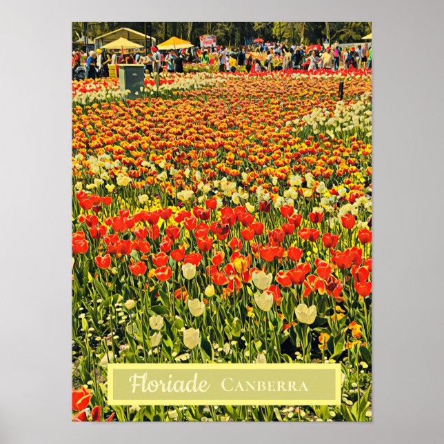 Poster Floriade Canberra festival de flores viagem impres (Frente)