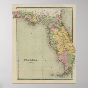 Pôster Florida 10