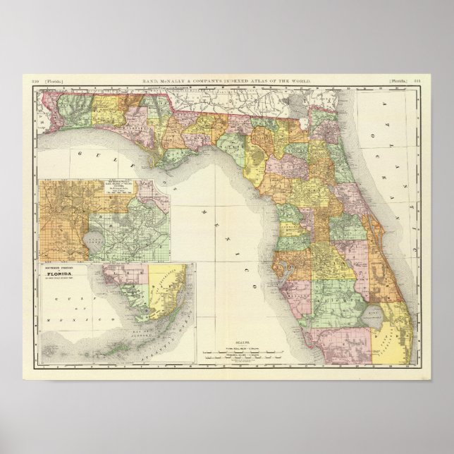 Pôster Flórida 11 (Frente)