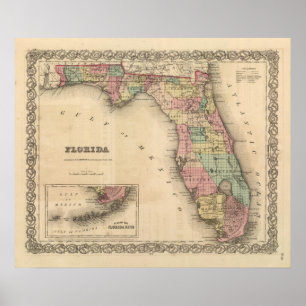 Pôster Florida 5