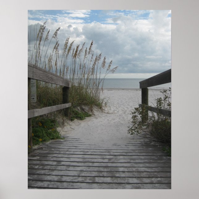 Poster Florida Beach Path (Frente)