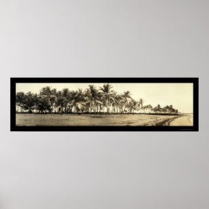 Pôster Florida Keys Fisheries Photo 1912