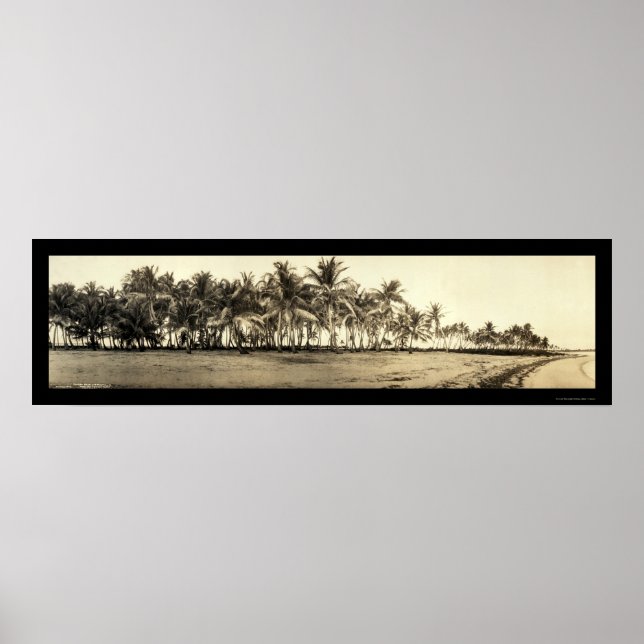 Pôster Florida Keys Fisheries Photo 1912 (Frente)