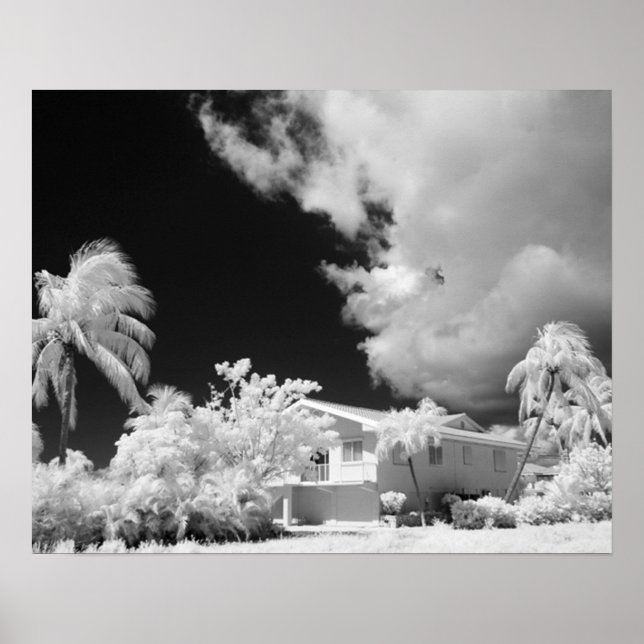 Poster Florida Keys house and its palm trees, USA. (Frente)
