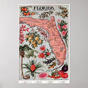 Poster Flórida O Estado Everglade ,Cartaz de Viagem