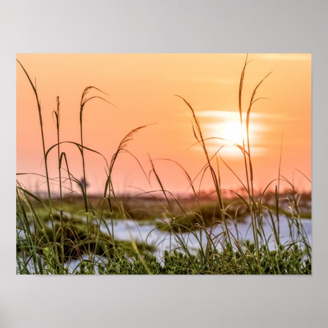 Poster Florida Sea Oats Sunrise (Frente)