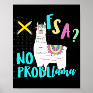 Poster Flórida State Test Day Llama For Students