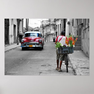 Poster Florista cubano