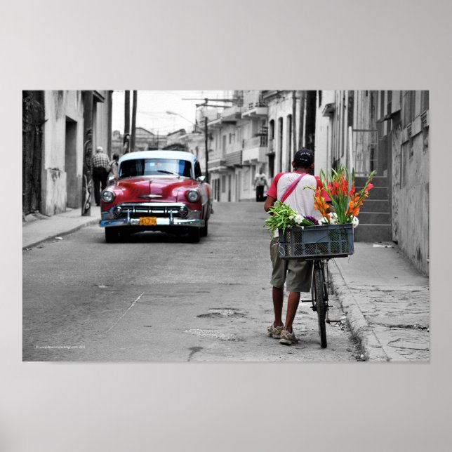 Poster Florista cubano (Frente)