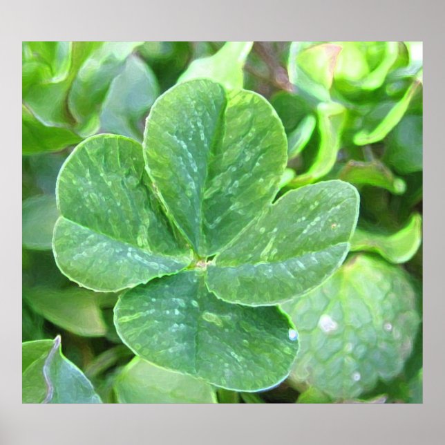 PÔSTER FLOVER DE QUATRO FOLHAS (Frente)