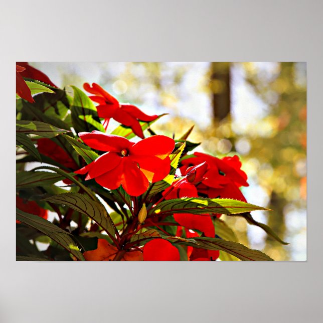 Poster Flower (Frente)