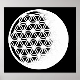 Poster Flower of Life