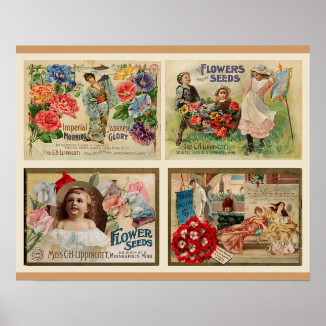 Poster Flower Seeds Vintage Collage (Frente)
