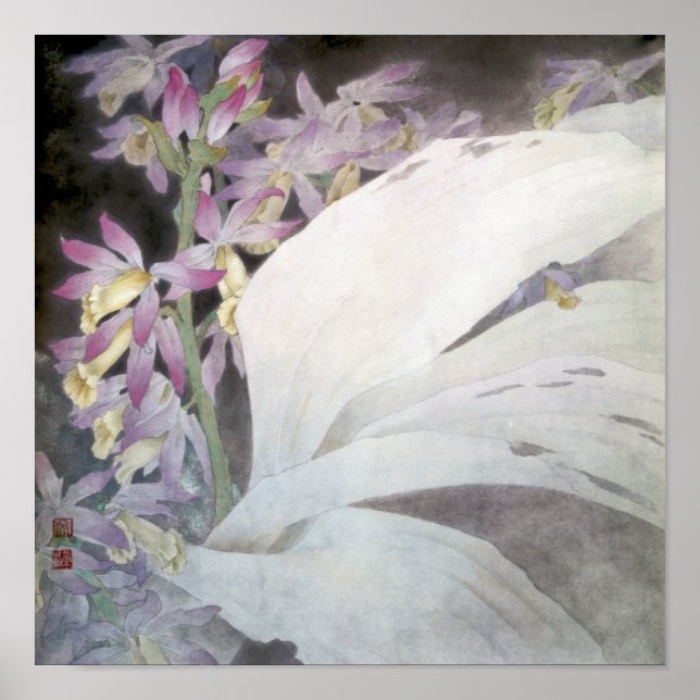 Pôster Flower Seires II - Phaius (Frente)