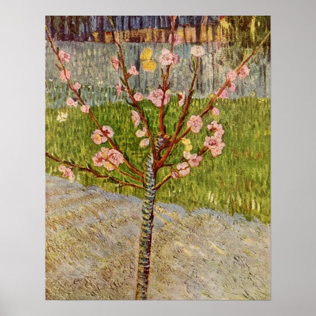 Pôster Flowering Peach Tree by Vincent Willem van Gogh (Frente)