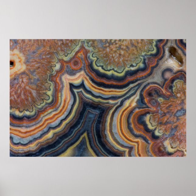 Pôster Flowering tube onyx (Frente)