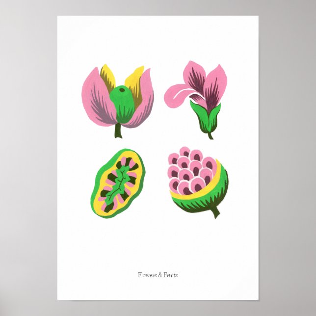Poster Flowers & Fruits (Frente)