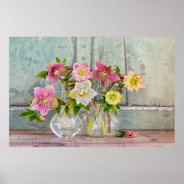 Poster Flowers | Hellebores in Vases (Frente)