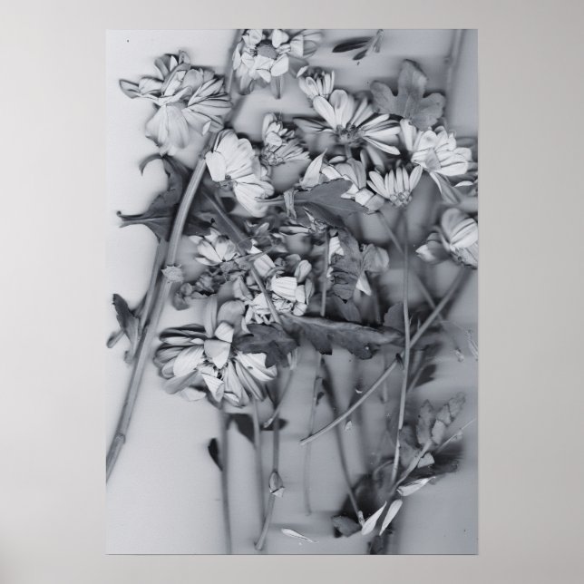 Poster Flowers in Black and White (Frente)