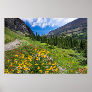 Poster Flowers Montana Flower Path