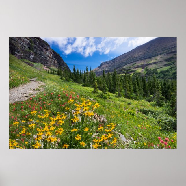 Poster Flowers | Montana Flower Path (Frente)