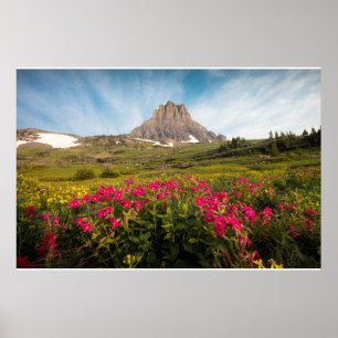 Poster Flowers Montana's Glacier National Park