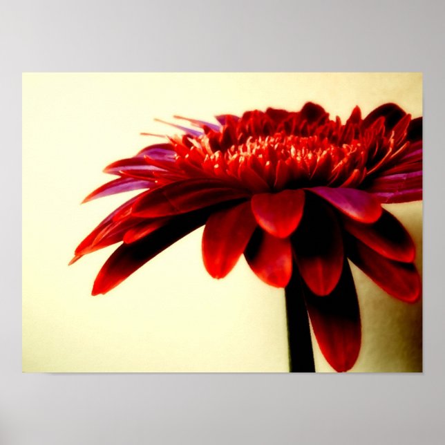 POSTER FLOWERSERIES-007 (Frente)