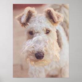 Poster Fluffy Airedale Welsh Terrier Tipo Cãozinho