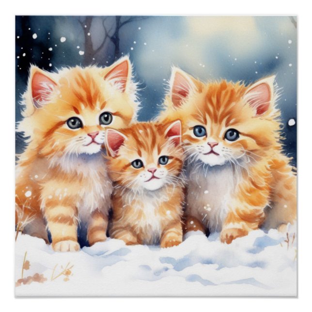 Pôster Fluffy Ginger Kittens (Frente)